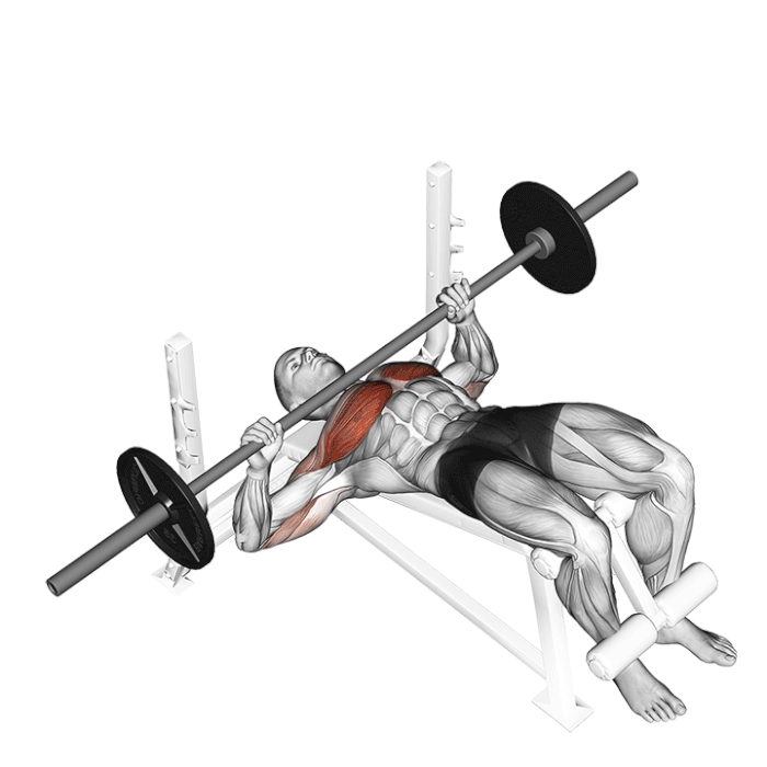 Exercice Développé décliné