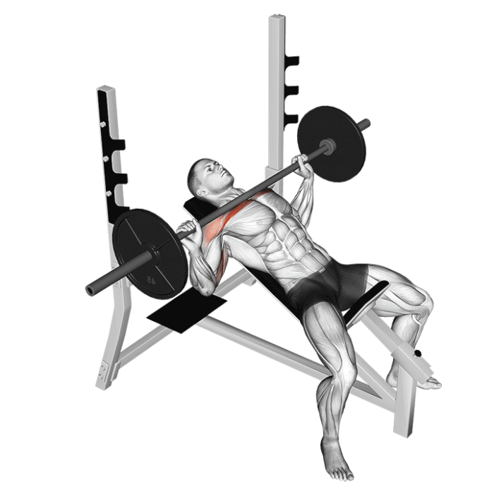 Exercice Développé incliné