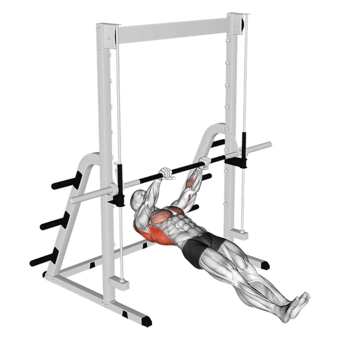 Tractions australienne